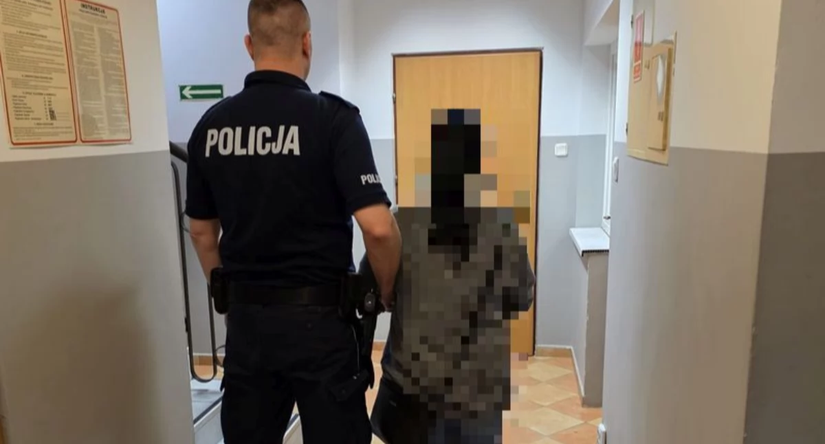 Aktualności, Pomagała wyniosła pieniądze dokumenty - zdjęcie, fotografia