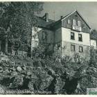 Fotka nr 5 z 15