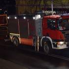 Fotka nr 5 z 15