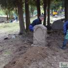 zdjęcie nr 49