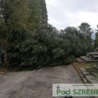 zdjęcie nr 17
