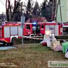 Fotka nr 1 z 5