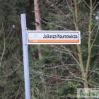 zdjęcie nr 14