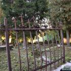 zdjęcie nr 31