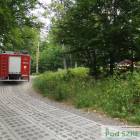 Fotka nr 4 z 16