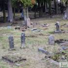 zdjęcie nr 30