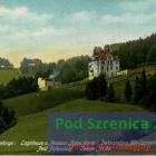 Fotka nr 5 z 7