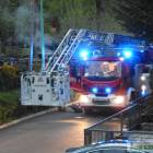 Fotka nr 2 z 11