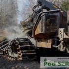 Fotka nr 5 z 7