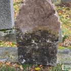 zdjęcie nr 8