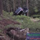 zdjęcie nr 12
