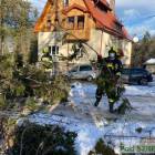 Fotka nr 4 z 18