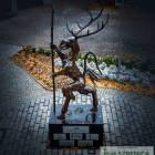 zdjęcie nr 11