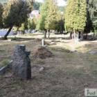 zdjęcie nr 36
