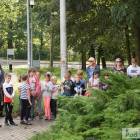 zdjęcie nr 31