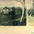 Fotka nr 2 z 15