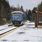 Fotka nr 2 z 5