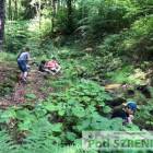 zdjęcie nr 9