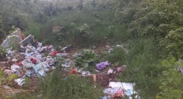 Przybywa śmieci w lasach. Kary za śmiecenie w lasach radykalnie zwiekszone