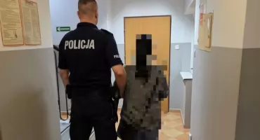 Pomagała w domu, wyniosła pieniądze i dokumenty.