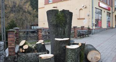 Mieszkańcy pytają : Dlaczego ścięto zdrowe drzewo ?